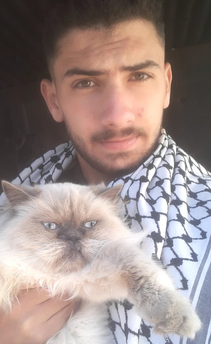 abod in Gaza🇵🇸 tweet media