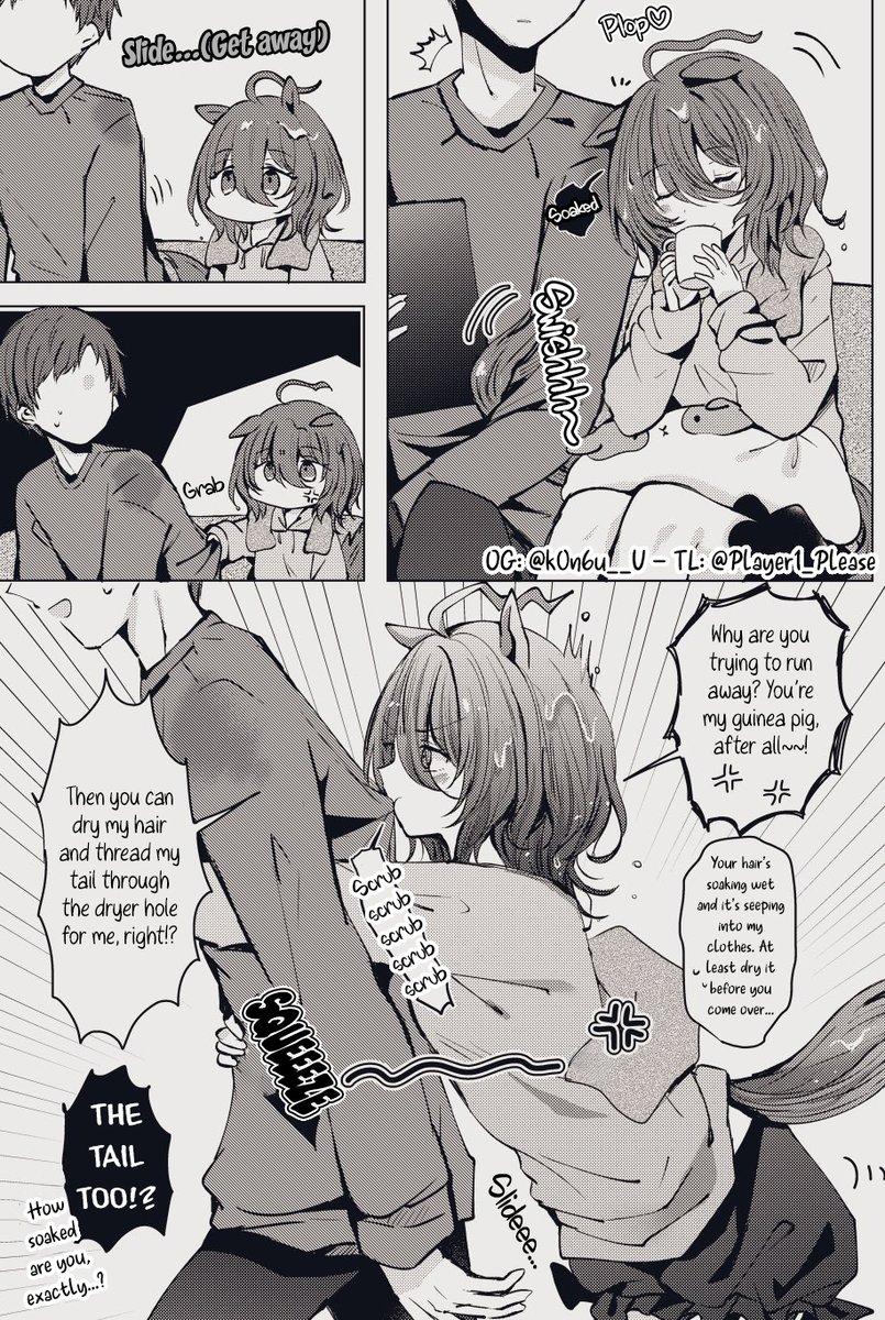 Chocolate Mint tweet media