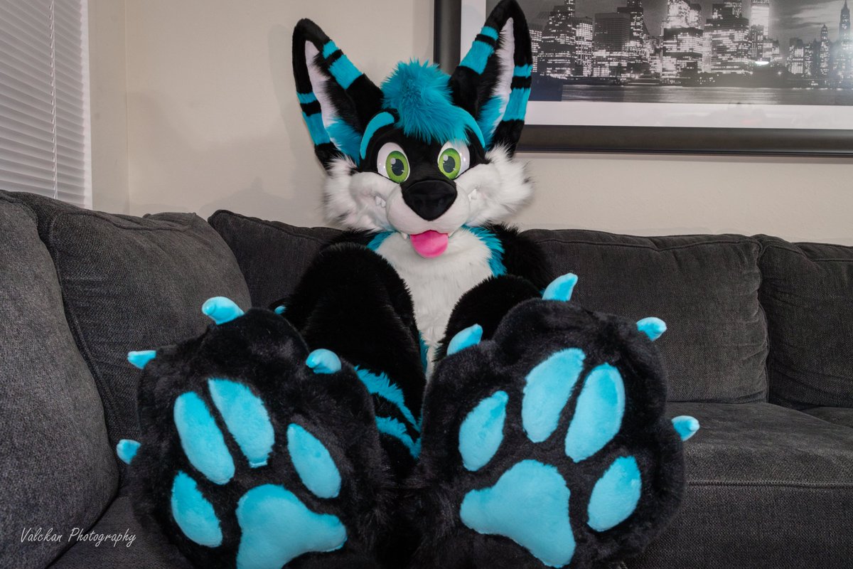 Sonnik 🔜 FWA tweet media