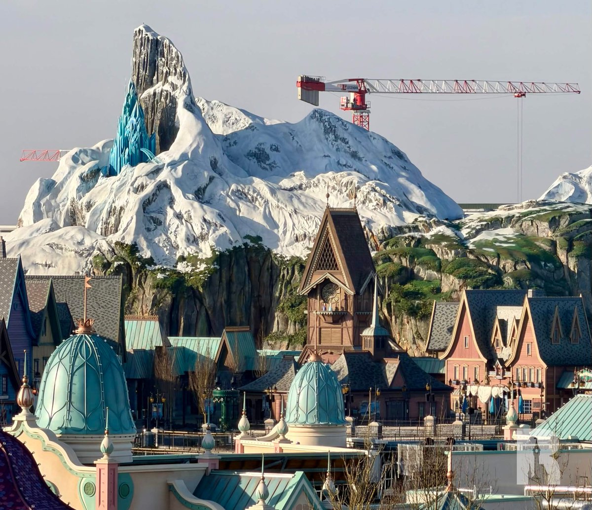 DLP Report tweet media