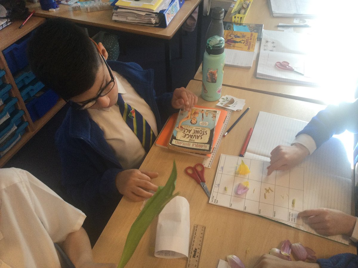 Miss Dabb🦦 tweet media