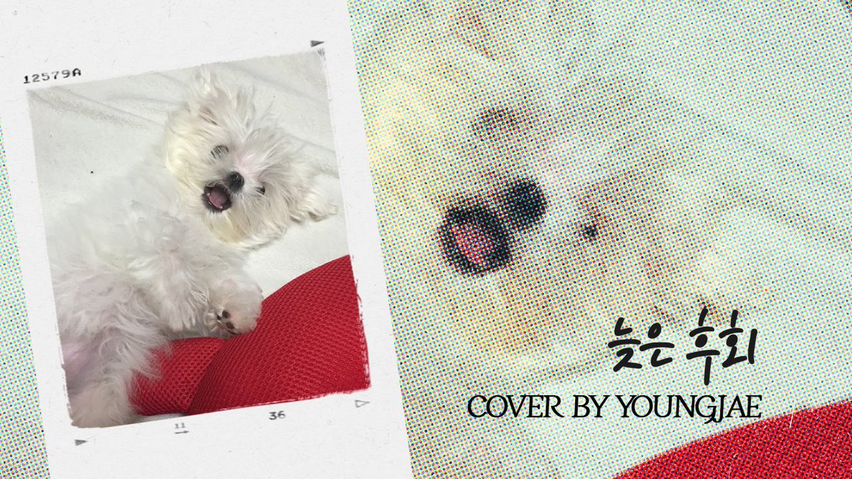 영재(YOUNGJAE)- "늦은 후회" (Original Song: Bobo)

youtu.be/_ecWCX_gkEQ

#영재 #YOUNGJAE
#COVER #늦은후회