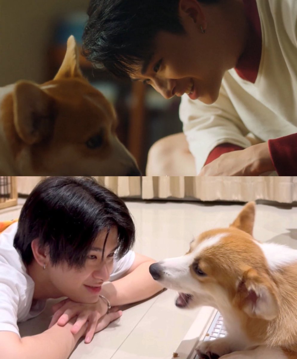 สายตาอบอุ่นของน้องไทย เอ็นดูน้องมากเยยอะจิ 🫳🏻🐶