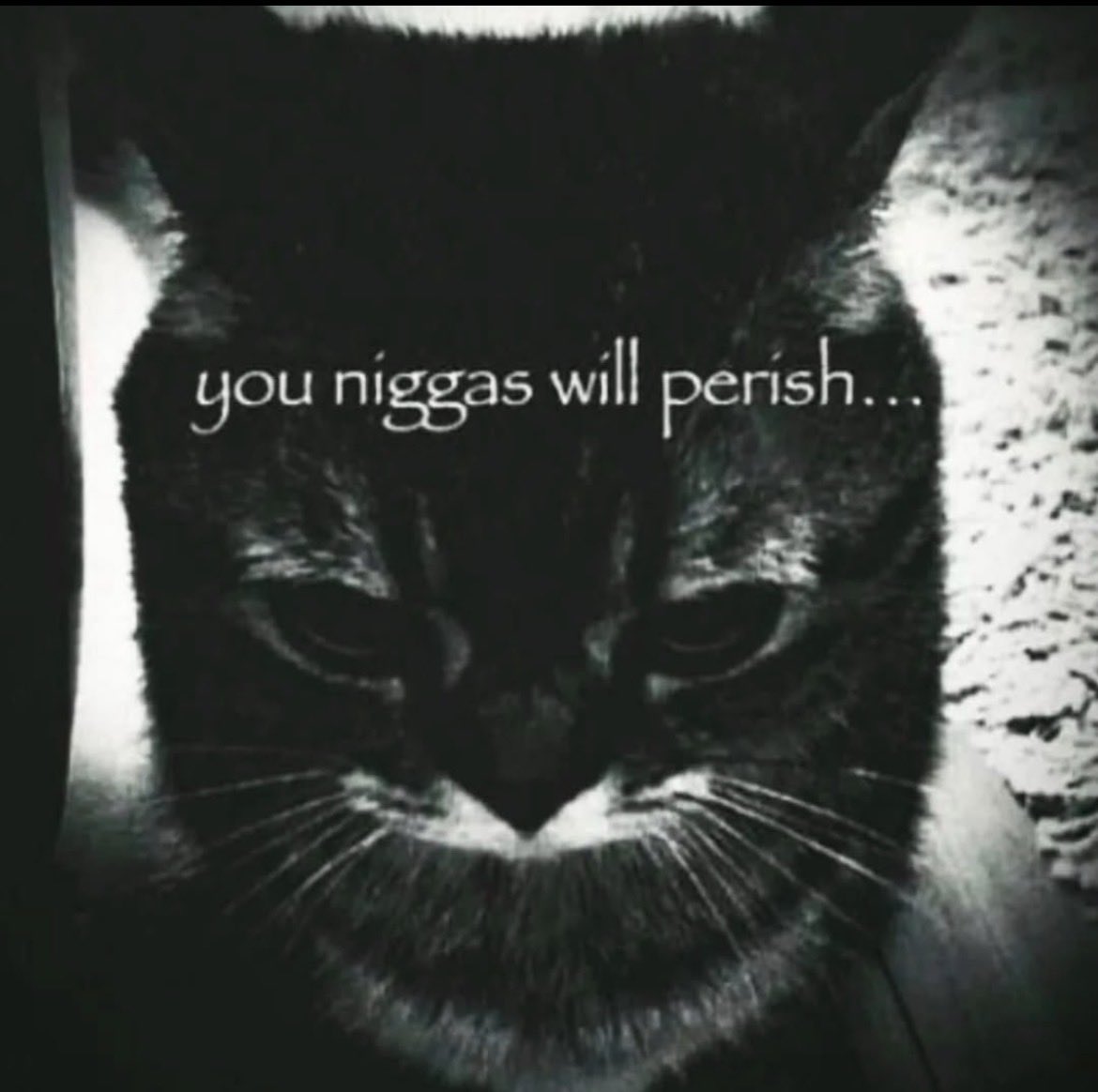 Big Chef Charlemagne tweet media