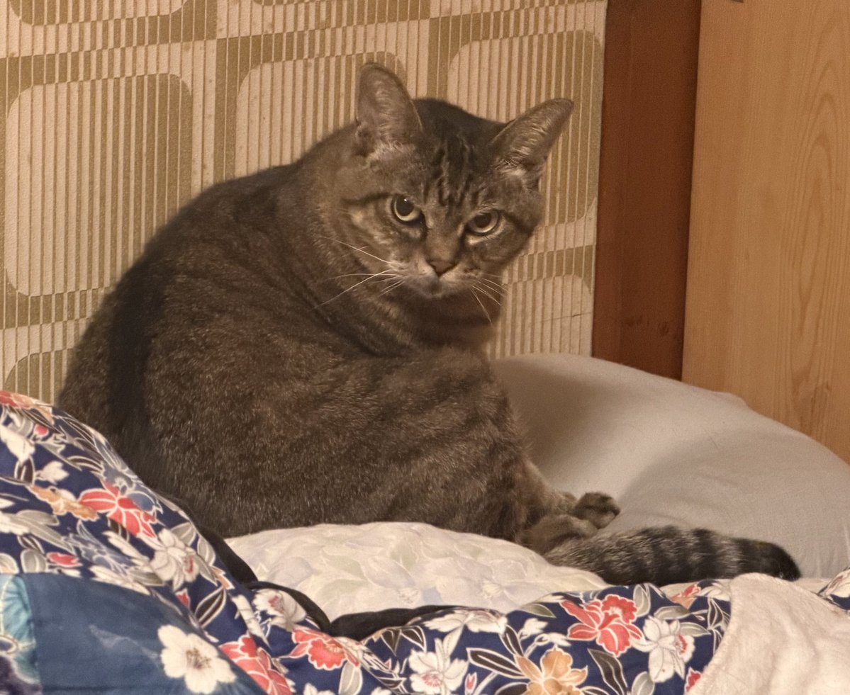 一時的に私の称号が【病院に連れて行った奴】になってる