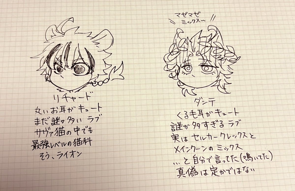 謎多きCATS 