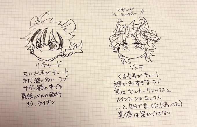 謎多きCATS 