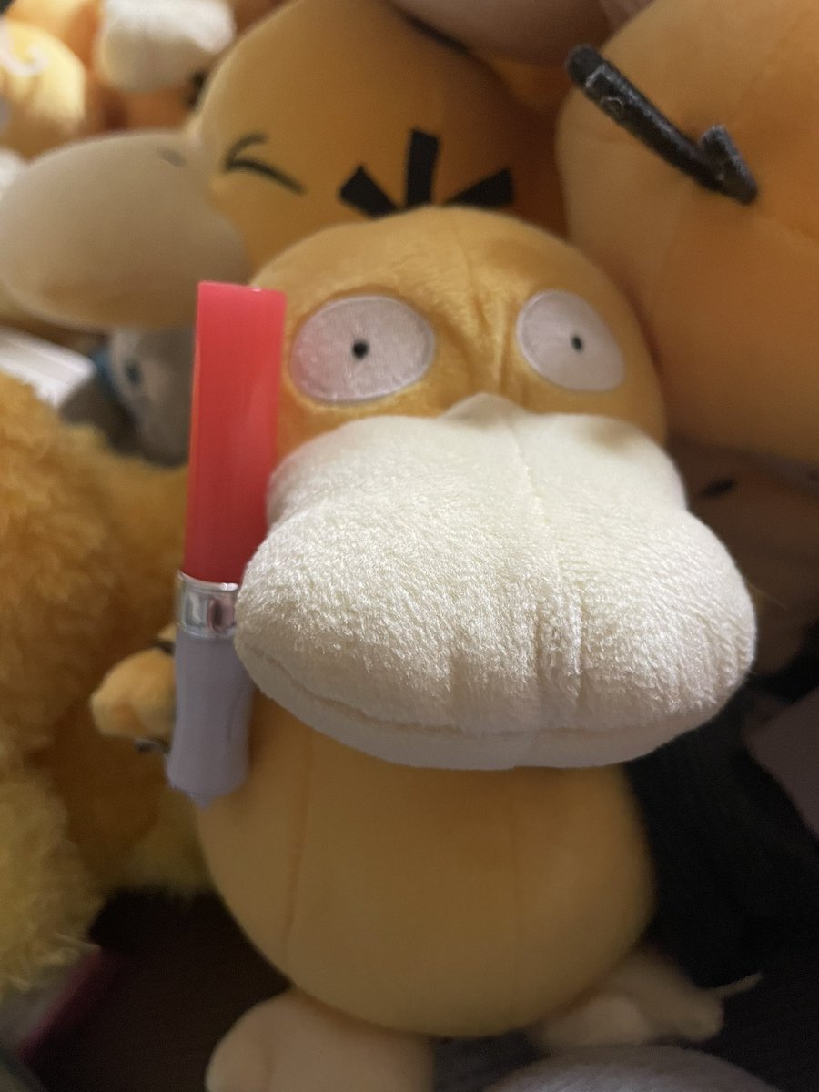 こけっこ船長とおこぱ tweet media