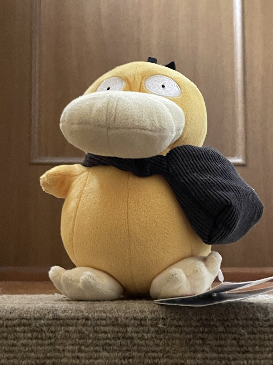 こけっこ船長とおこぱ tweet media