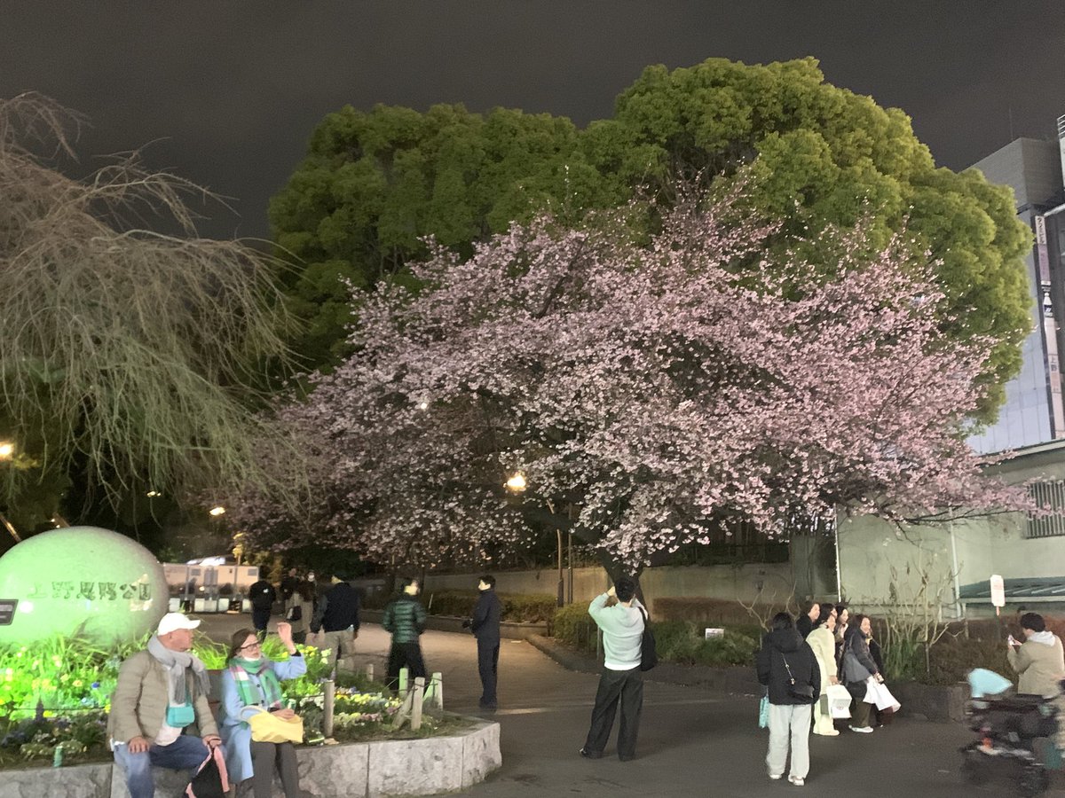 Ωの人 デスペナリッター🐉 tweet media