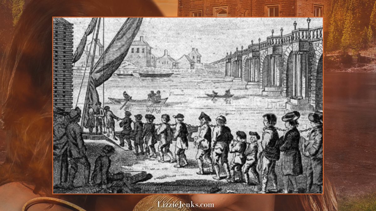 LizzieJenksAuthor tweet media