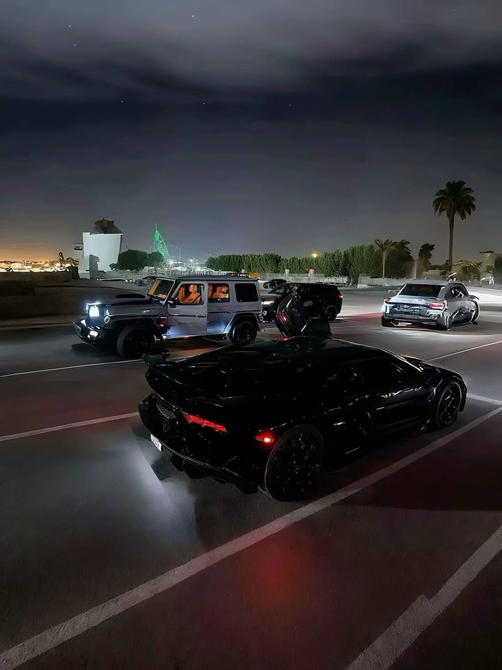 This.                      Or.          That?