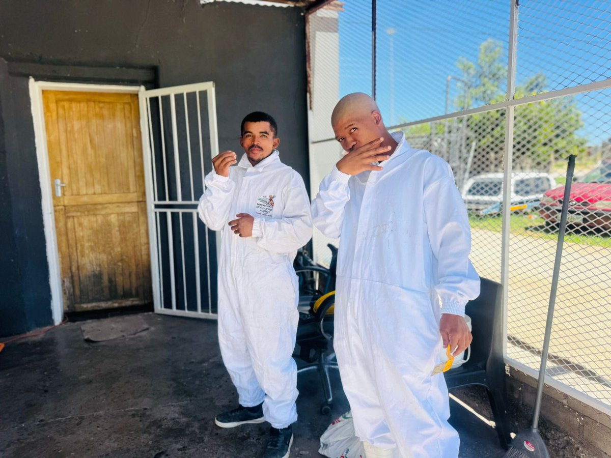mdevelopmentage's tweet photo. MDA Social Employment Fund Programme participants in Welkom are gaining Agriseta-accredited Poultry Production skills at our Digital Hub 🐔

Building sustainable livelihoods, strengthening food security, and empowering our community one skill at a time.

#MDASocialEmploymentFund https://t.co/Mqy99GZVzF