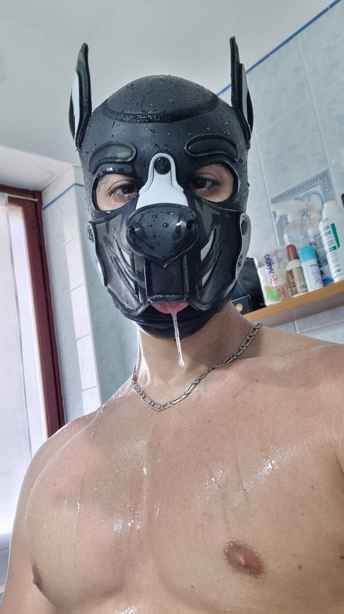 GrifinWolfy's tweet photo. Mlep https://t.co/oMG4j8O9Qn