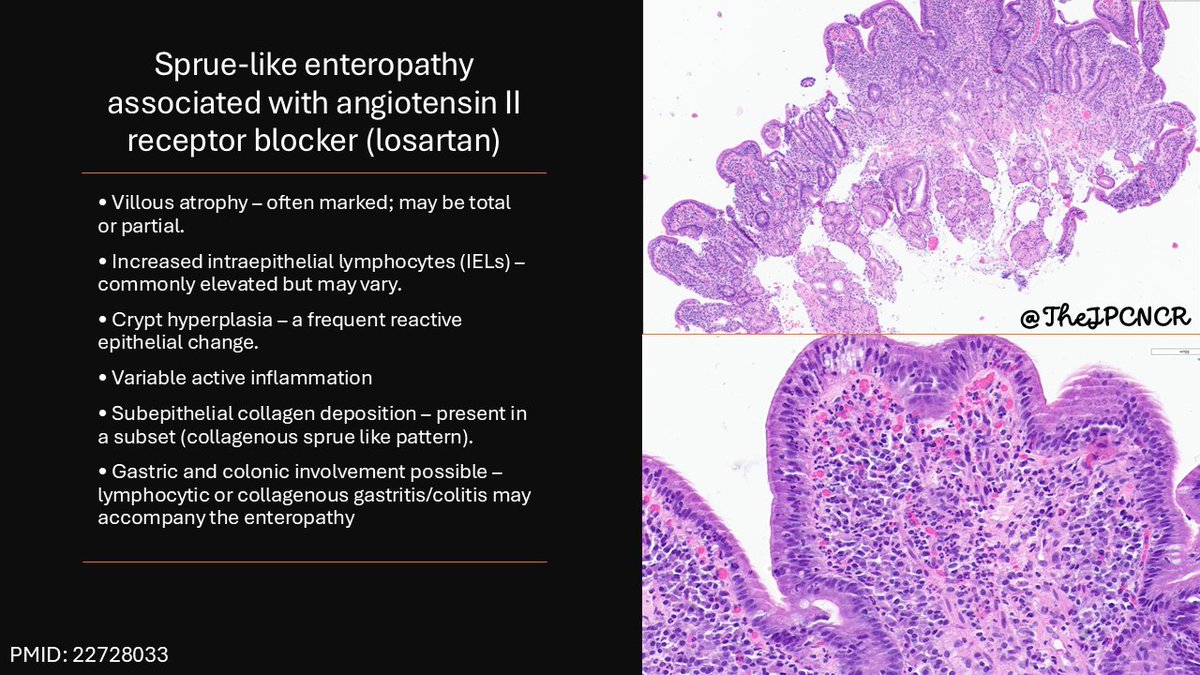 The Joint Pathology Center (JPC) tweet media