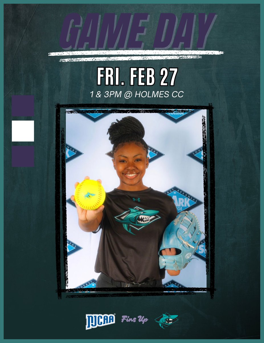 SEARK Softball tweet media