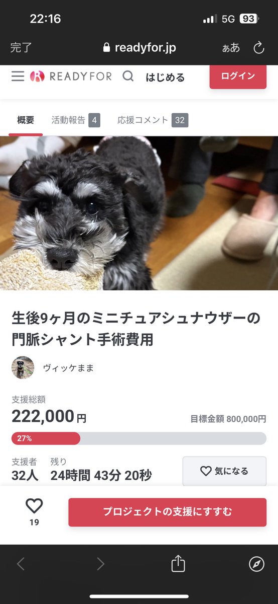🚨 #拡散希望🚨 #ご協力お願い致します 
🆘門脈シャントと闘っているヴィッケちゃん‼️
🆘11ヶ月の女の子です‼️
🆘クラファン挑戦中‼️
🆘残り2️⃣5️⃣時間を切り大変厳しい状況です‼️
readyfor.jp/projects/167721 
🆘どうかヴィッケちゃんにお力をお貸し頂けないでしょうか🙇‍♀️
🆘何卒宜しくお願い致します🙇‍♀️🙇‍♂️
