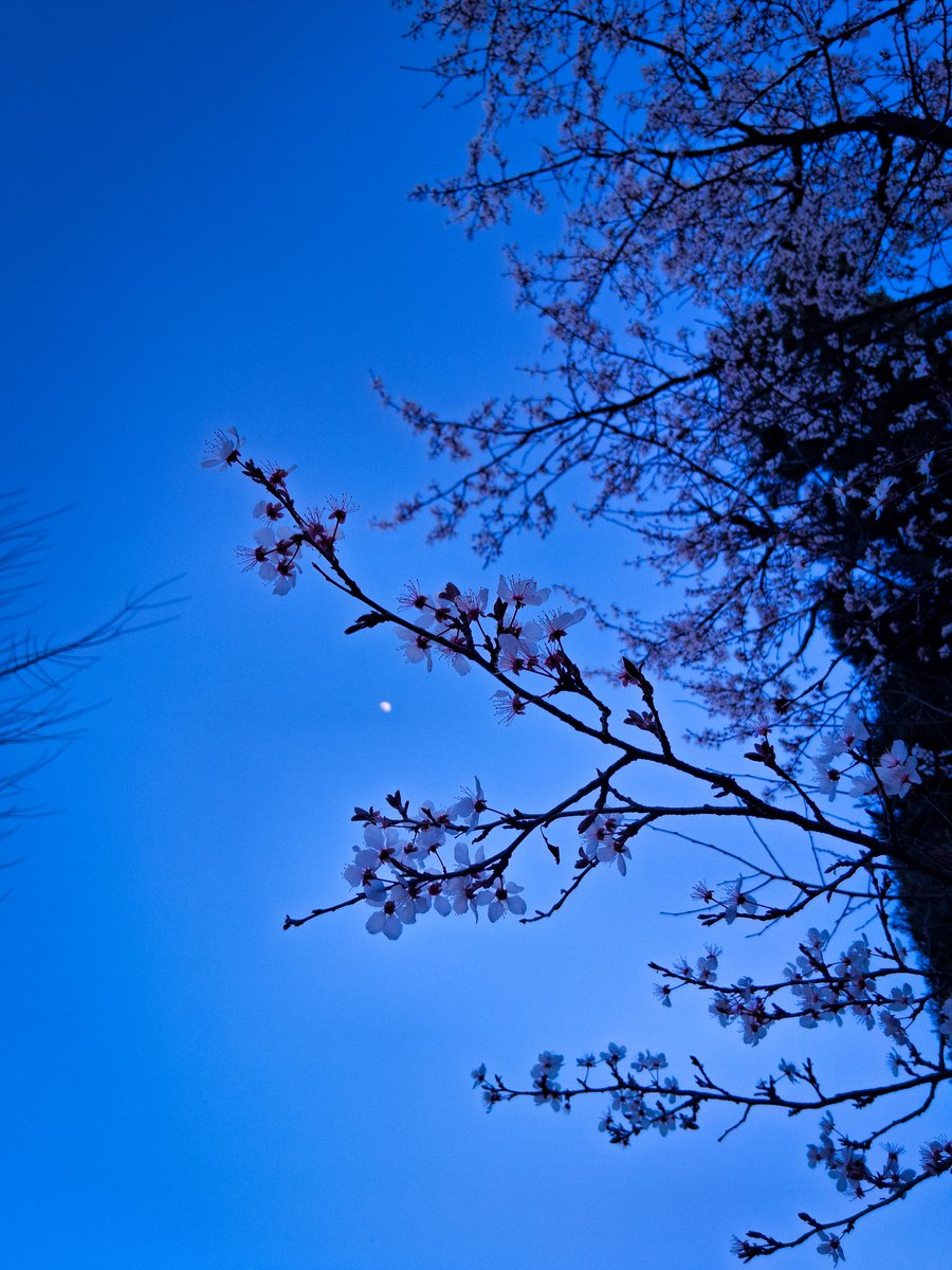 RelAngel tweet media