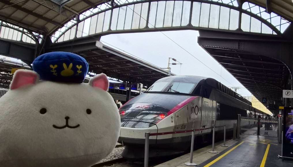 TGVでコルマールへ移動開始です♪ #ご注文はフランス旅行ですか