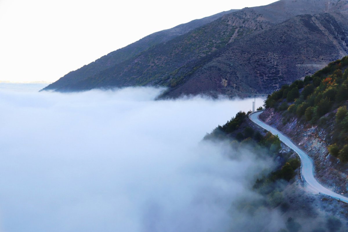 lia_artt's tweet image. The Mist 🌫✨️
#photographer #fineart