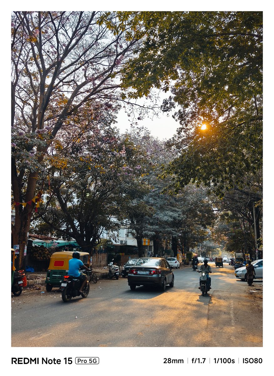 aniruddha0367's tweet image. Bloomy Evening

#photography #redminote15pro5G @RedmiIndia @anguskhng @atytse @sandeep9sarma @Huilgol @pixelwithme @gautmeluv @XFCBengaluru @Xiaomi @XiaomiIndia @manish_lenswork