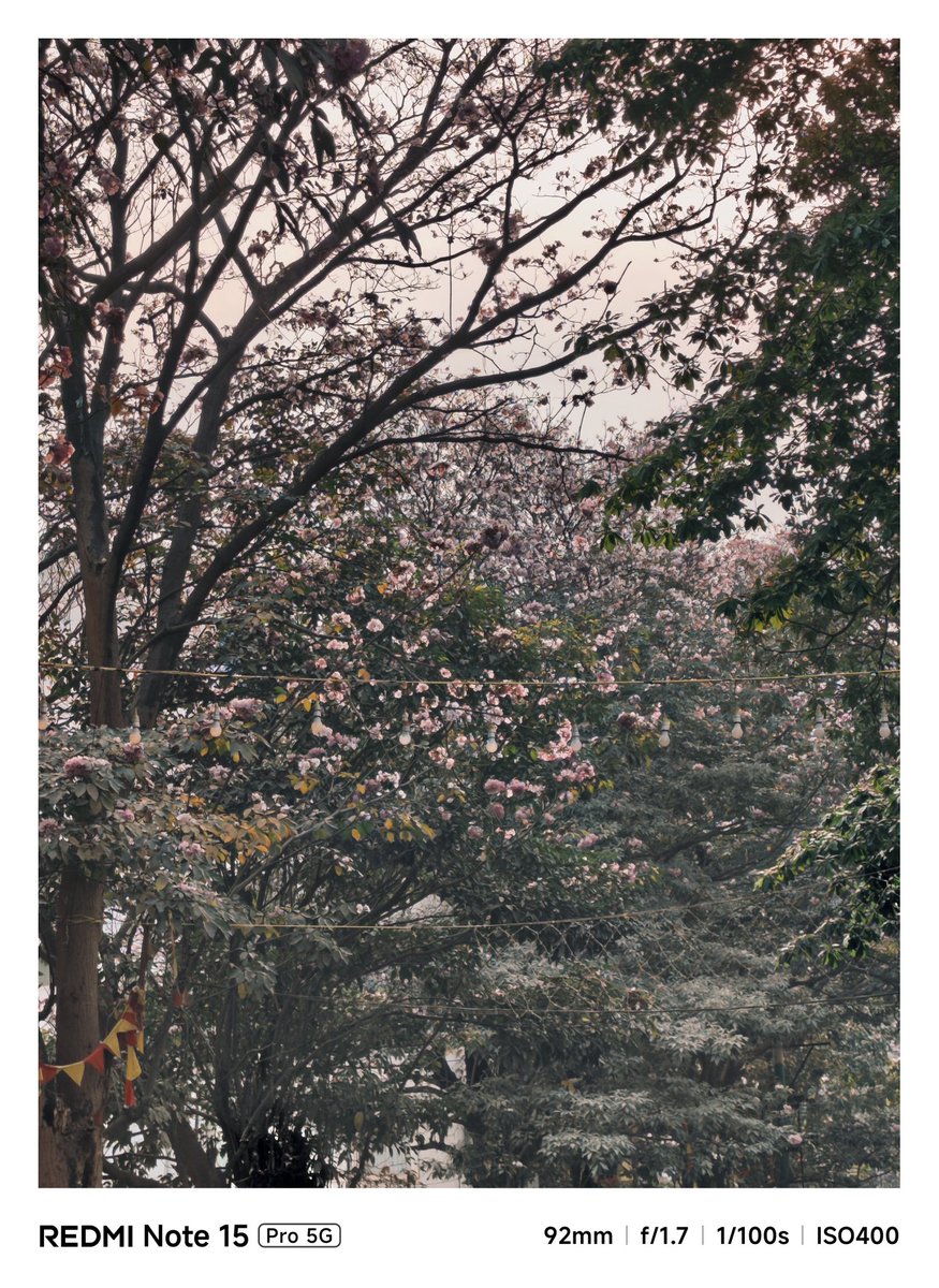 aniruddha0367's tweet image. Bloomy Evening

#photography #redminote15pro5G @RedmiIndia @anguskhng @atytse @sandeep9sarma @Huilgol @pixelwithme @gautmeluv @XFCBengaluru @Xiaomi @XiaomiIndia @manish_lenswork