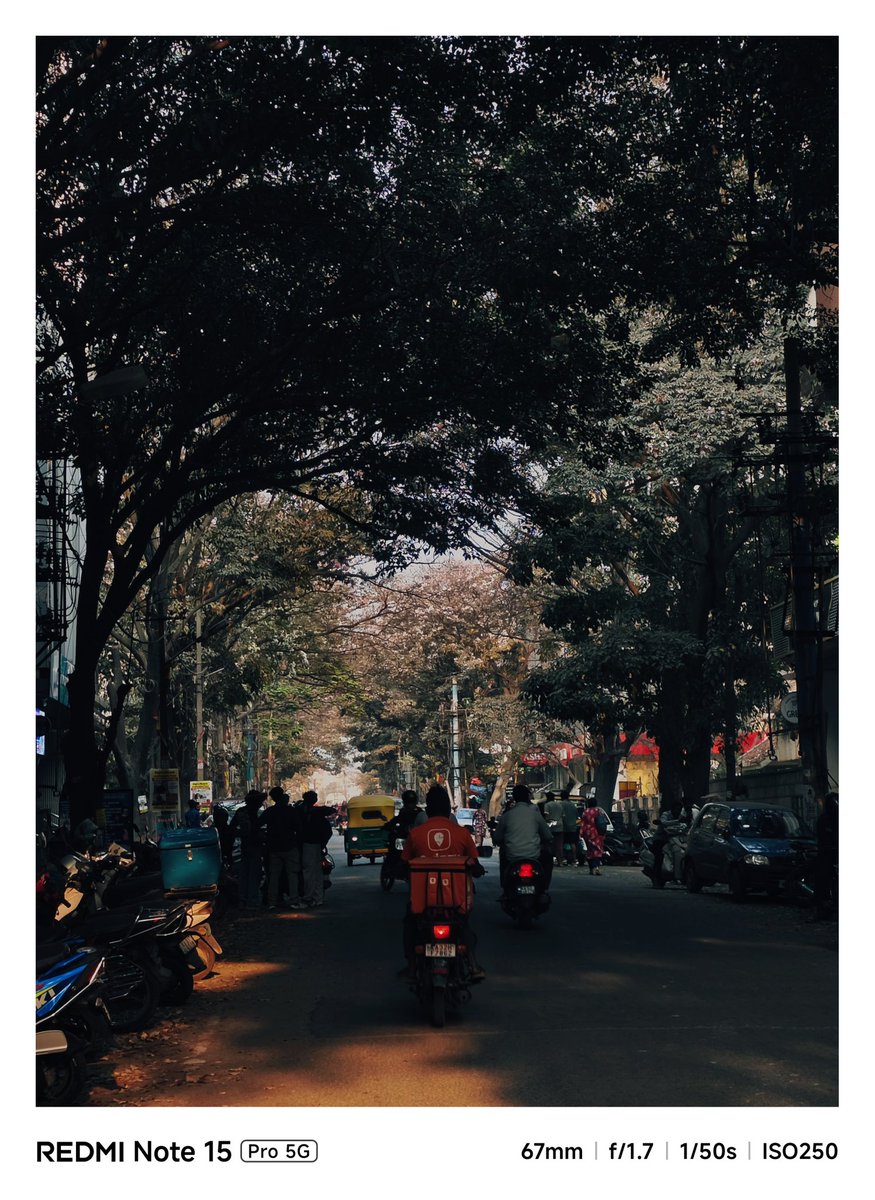 aniruddha0367's tweet image. Bloomy Evening

#photography #redminote15pro5G @RedmiIndia @anguskhng @atytse @sandeep9sarma @Huilgol @pixelwithme @gautmeluv @XFCBengaluru @Xiaomi @XiaomiIndia @manish_lenswork