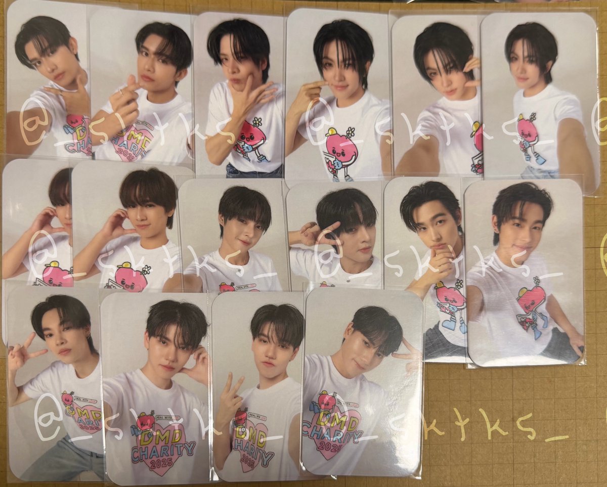 🌌交換希望🌌 DOMUNDI CHARITY DMD グッズ RANDOM PHOTOCARD ポスト