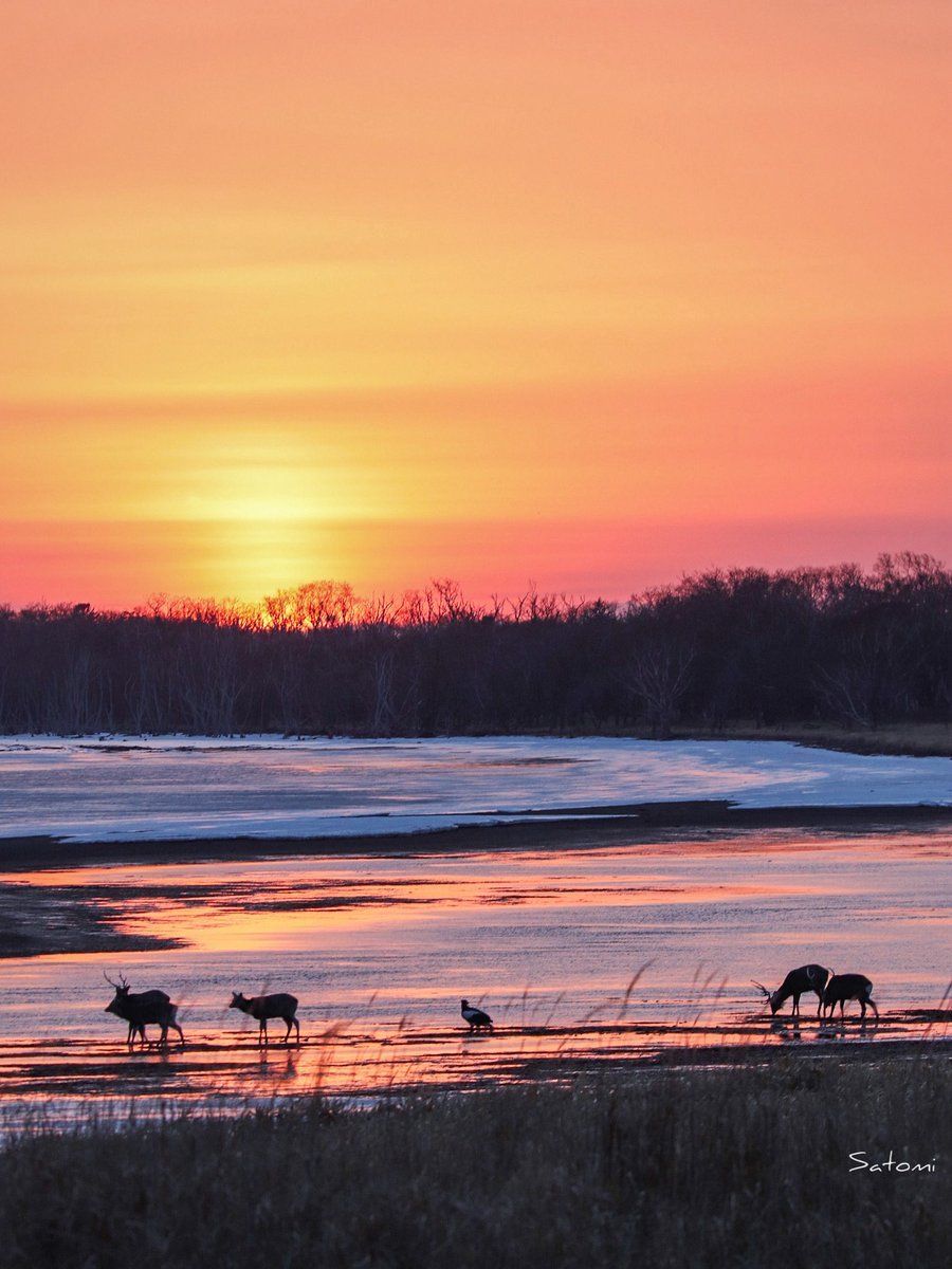 𝒮𝒶𝓉𝑜📷 tweet media