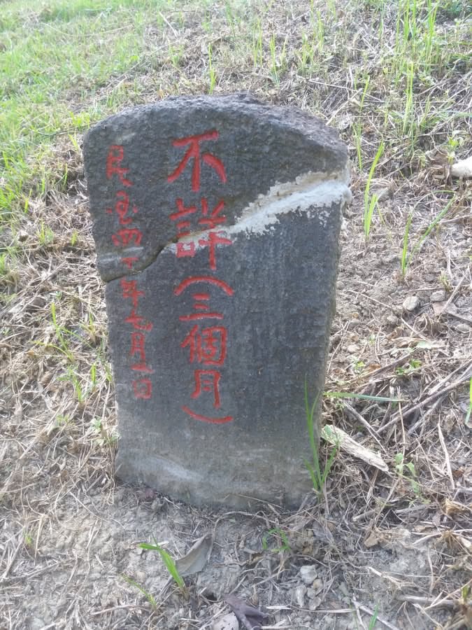 阮山祐祐子 kina迷惑言行探討🪂TAIWAN💗🇯🇵 tweet media