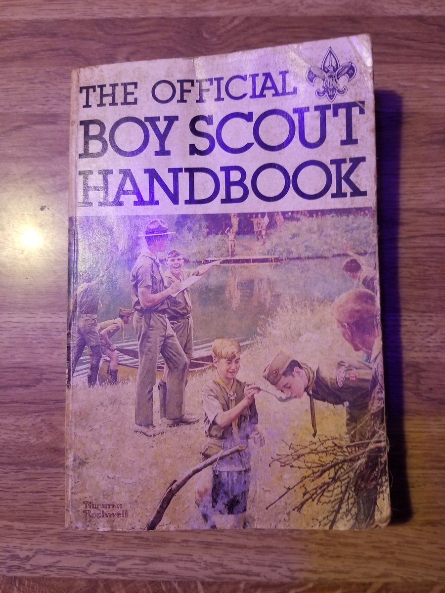 swmp01's tweet image. Bring back Boy Scouts.