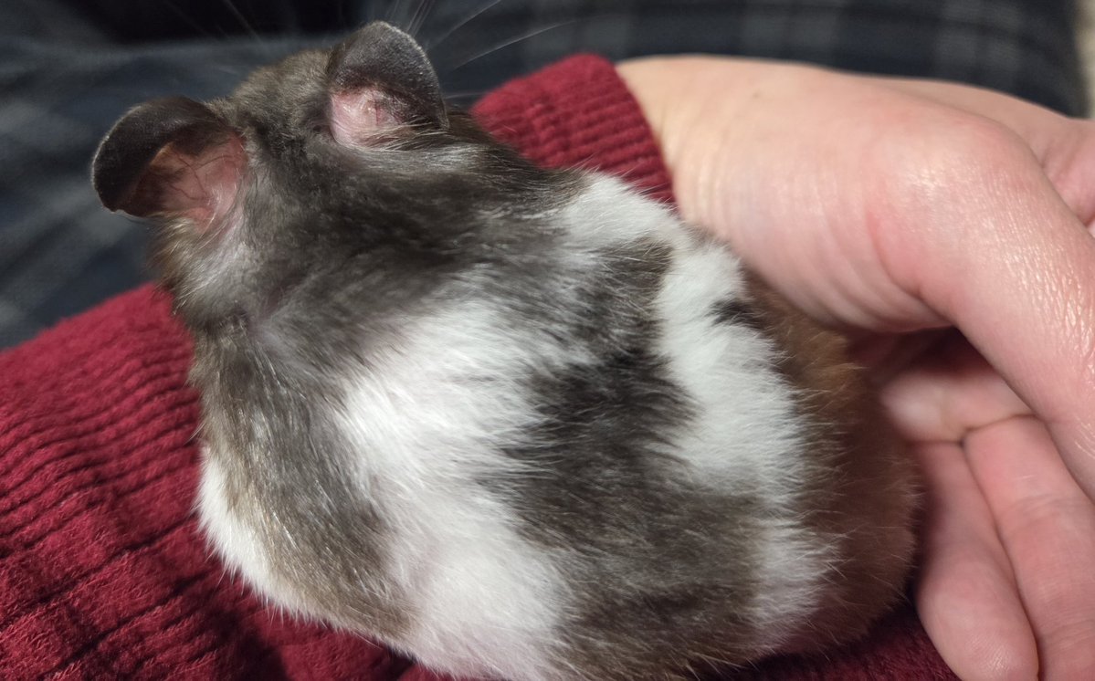 まーちゃんの後ろ姿が大好き😍