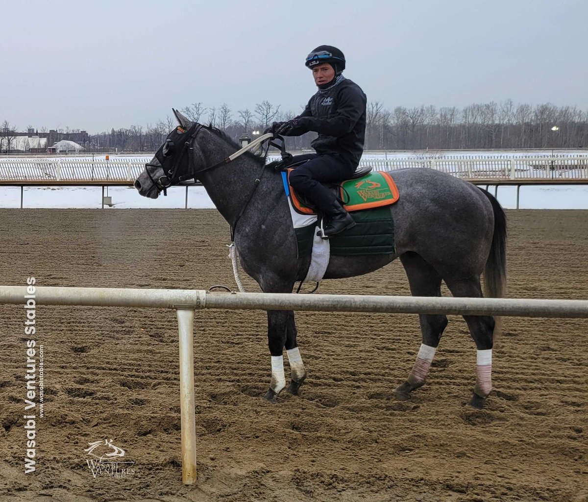 WV Stables tweet media