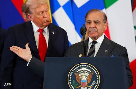 هادی tweet media