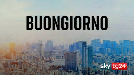 Roberto Tallei tweet media