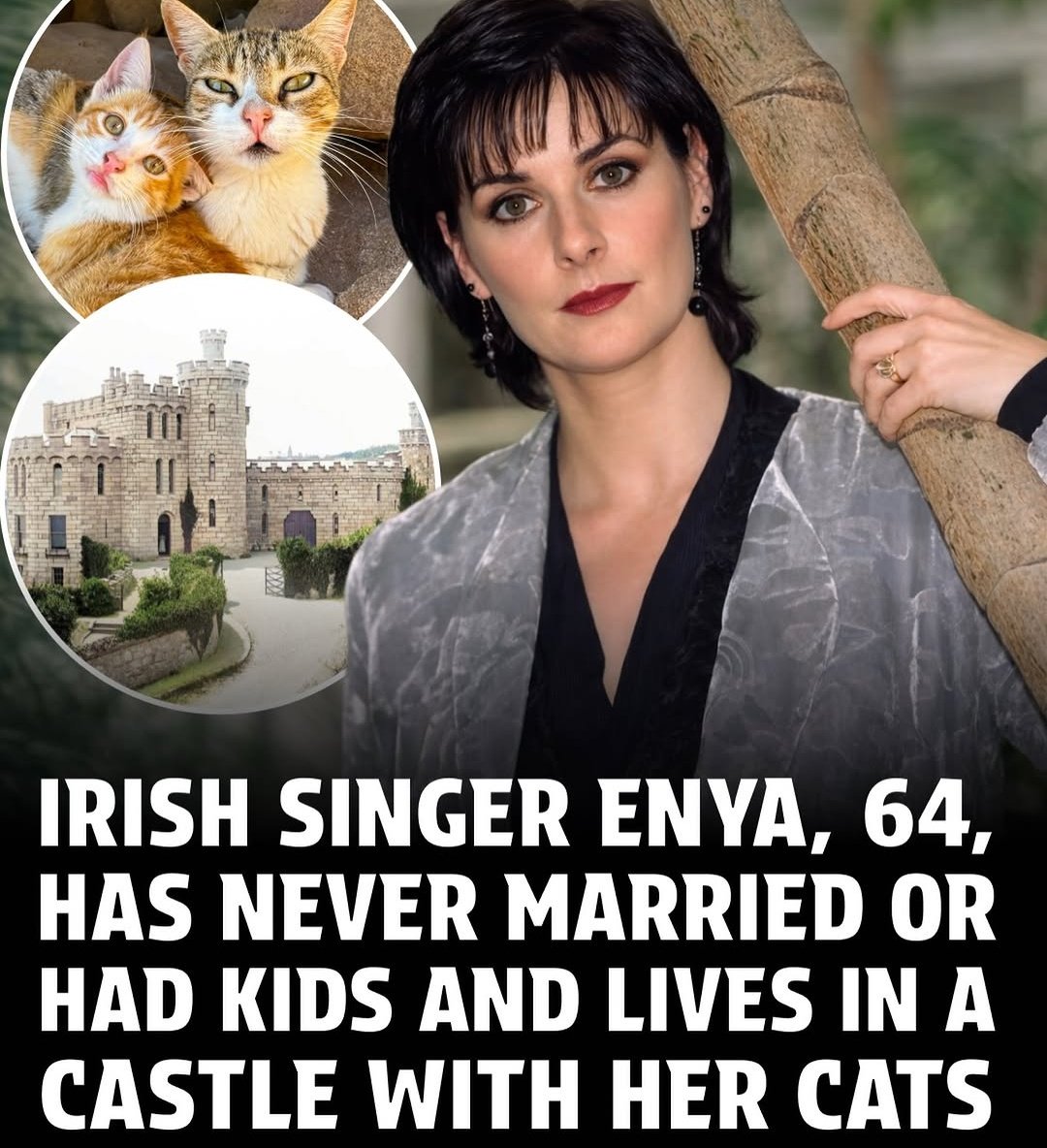 Such a Fantasy life - Cats - Castle..