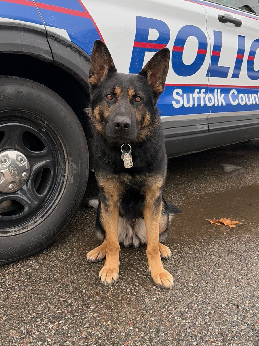 Suffolk County Police Department tweet media