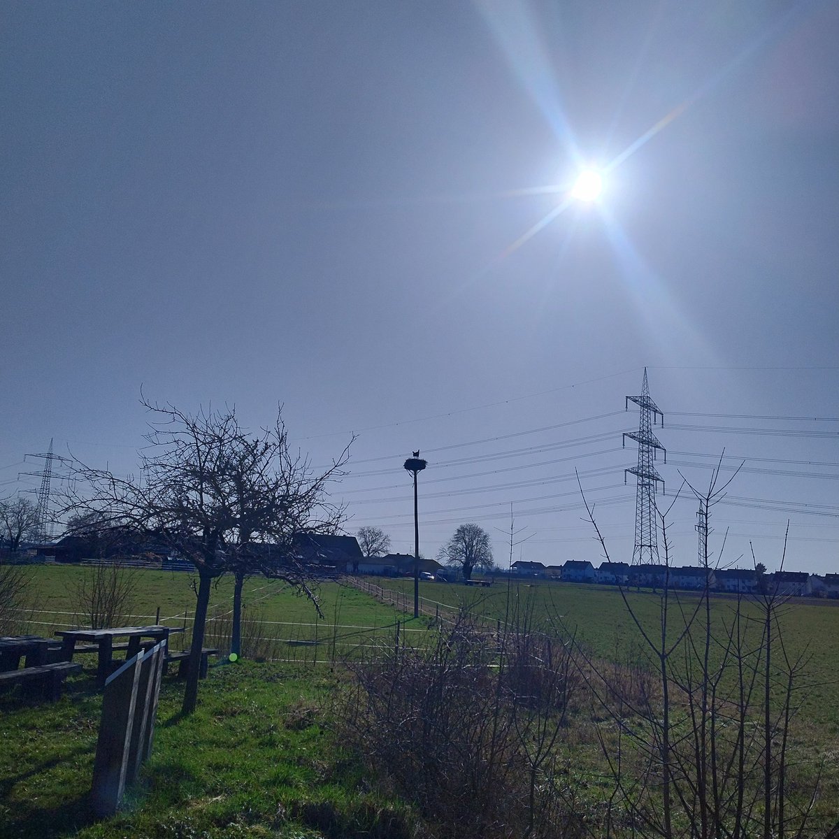 Herrliches Frühlingswetter im #Ried! Endlich ! LG ! #GG #Frühling