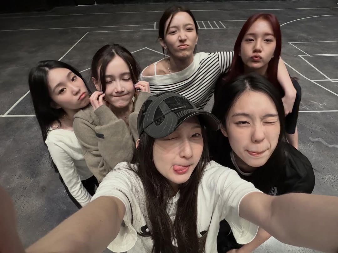 🐱🐱🐱🐱🐱🐱