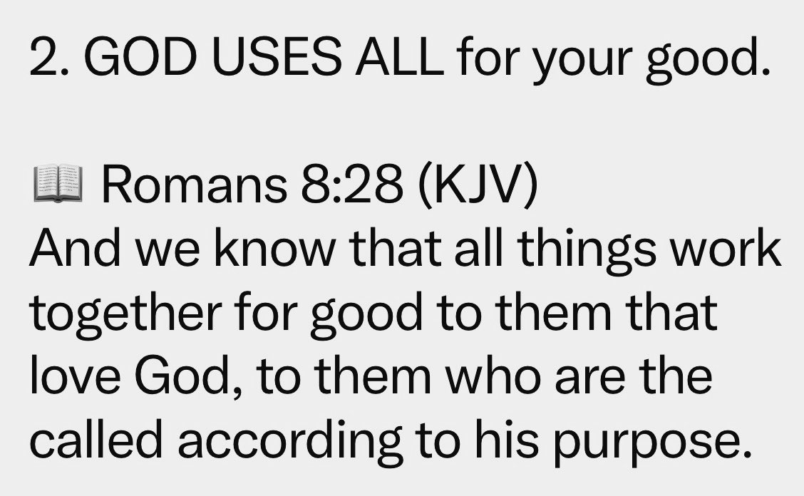 Jiri Novak tweet media