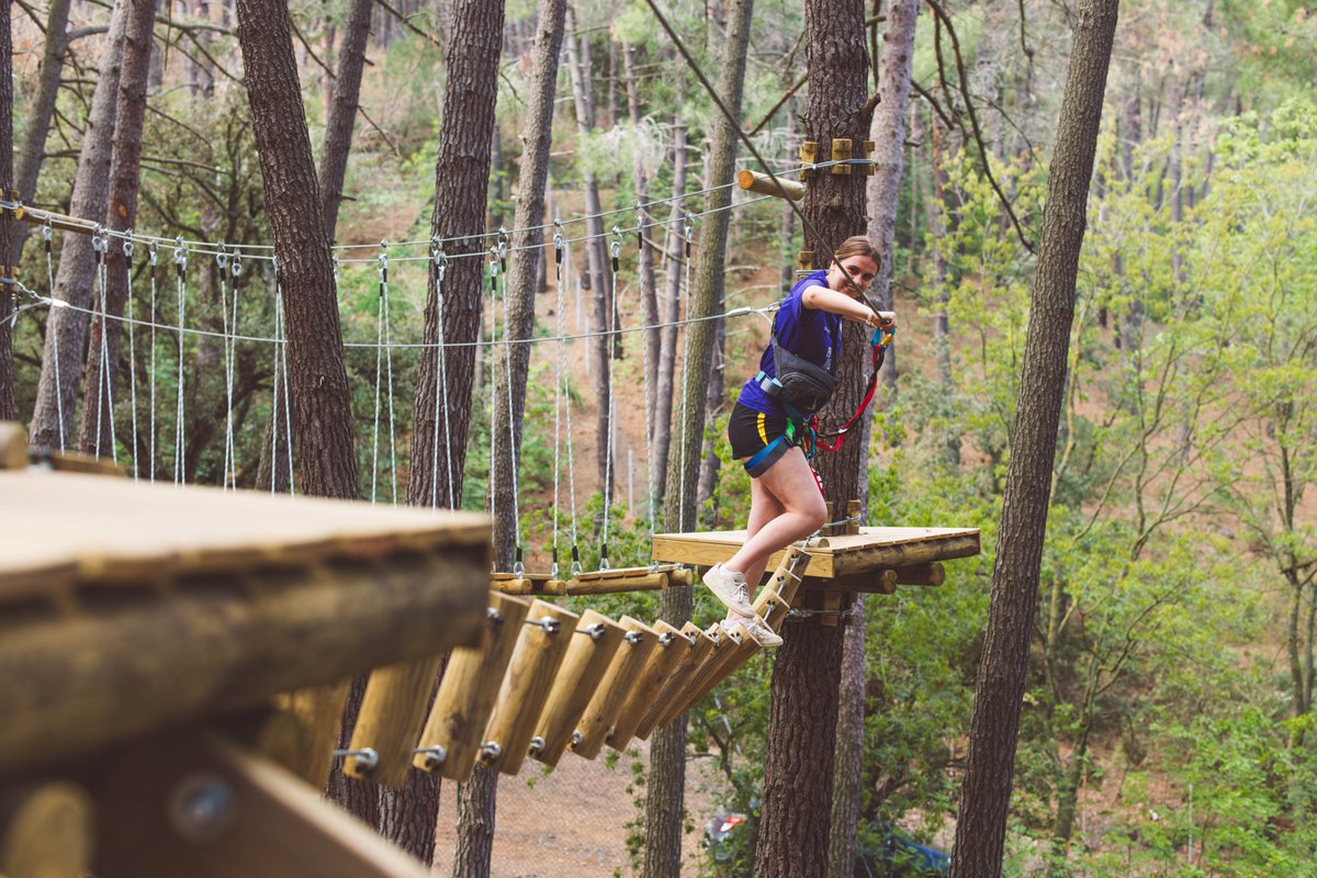 Edulònia tweet media