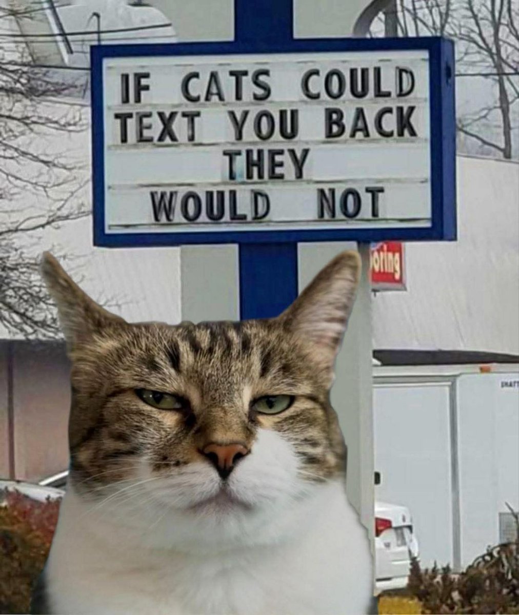 🤣🤣🤣🤣 nope! 😹