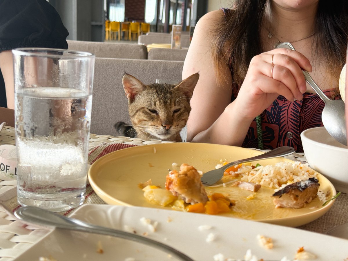 ゆりな tweet media