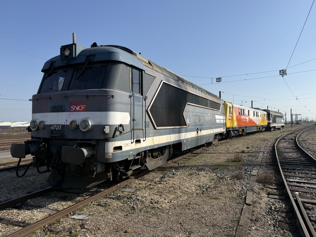 sylv1fra tweet media