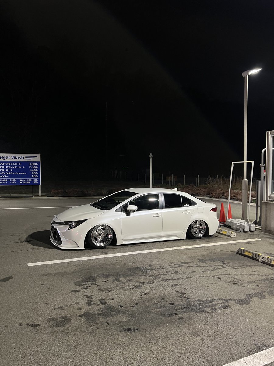 真央 tweet media