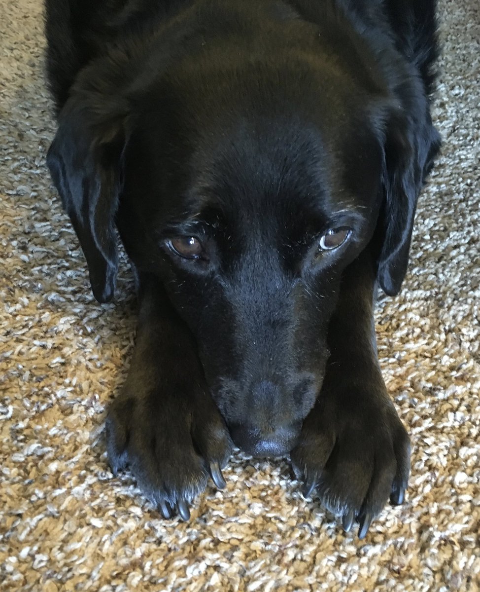 Mark Gardner tweet media