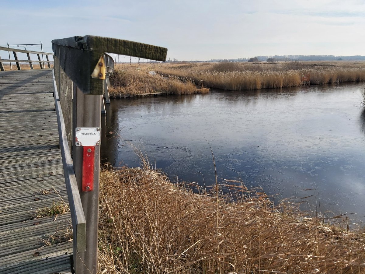 Wandelnet tweet media