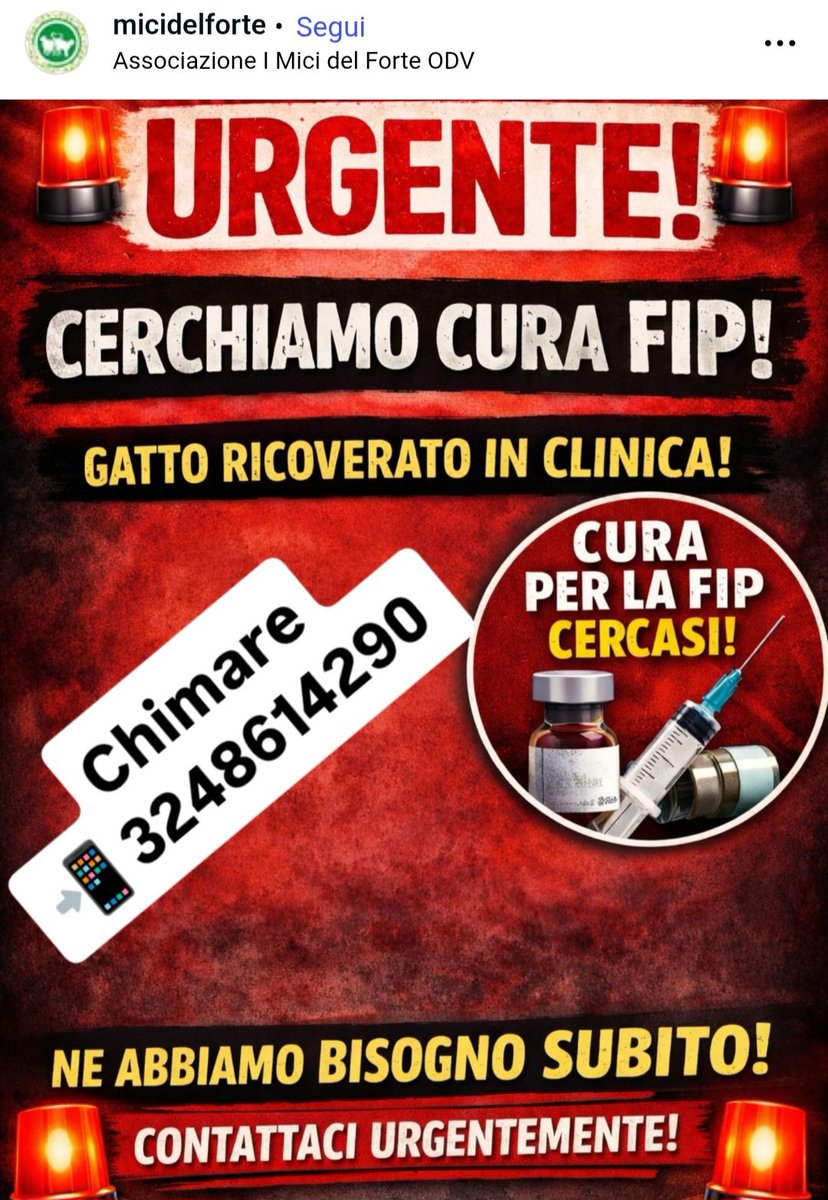 SkyLaGatta's tweet image. 🐱 🐱 !!! URGENTE !!! 🐱🐱

Associazione I Mici del Forte (Marghera,Venezia) IG
Condividiamo per favore. #gatti #randagi