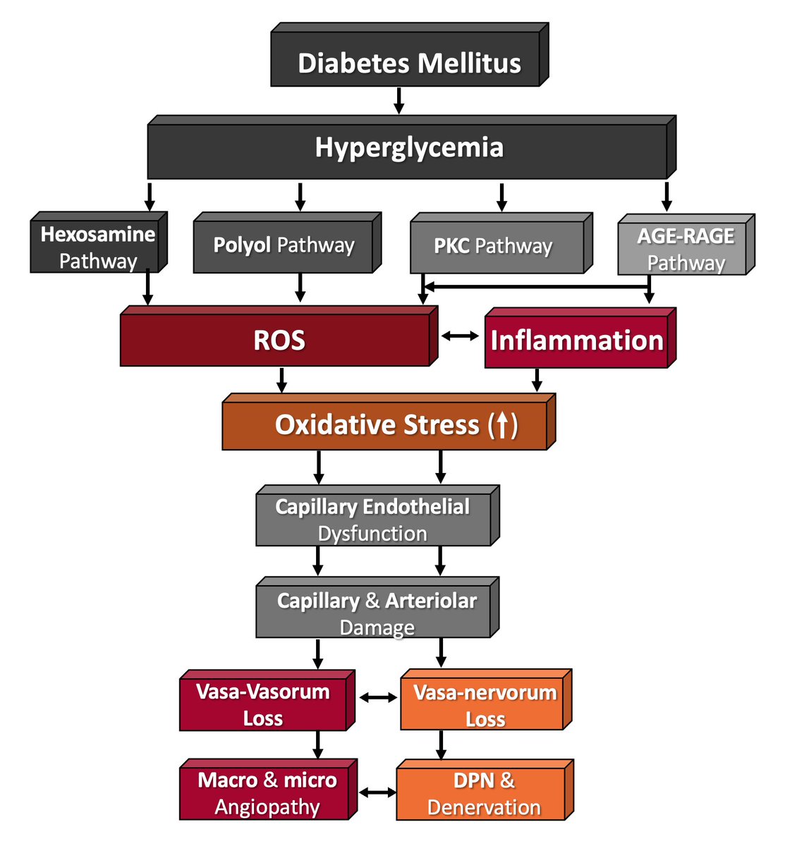 Journal of Critical Limb Ischemia tweet media