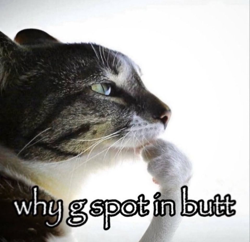 Internet Slop tweet media